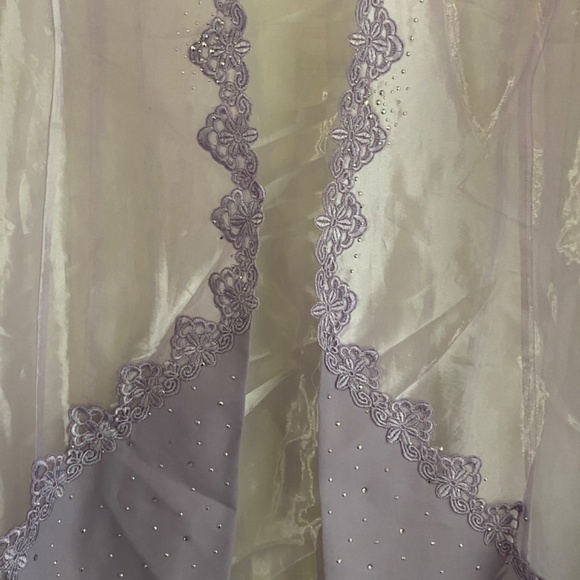 Sheer Elegant Jacket - Picture 3 of 6